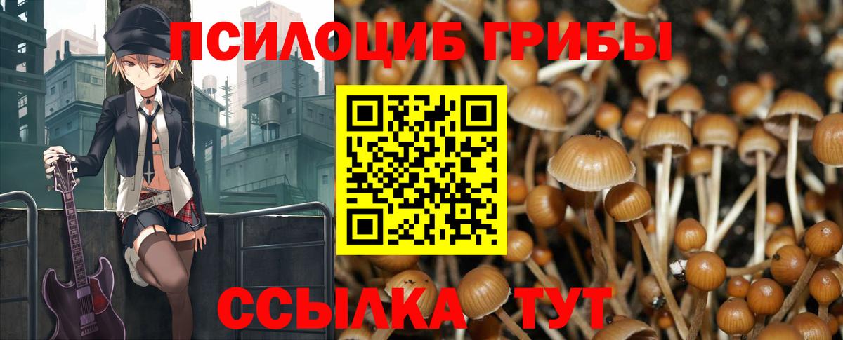 Псилоцибиновые грибы Psilocybine cubensis  Галлюциногенные грибы Cubensis  Россия  Вход с VPN 